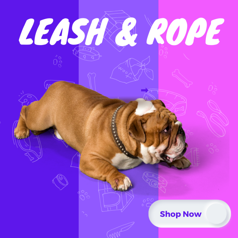 Leash & Rope