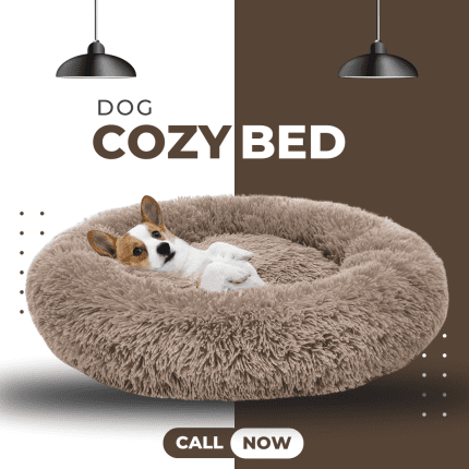Dog Bed Manufacturer in Kanpur
