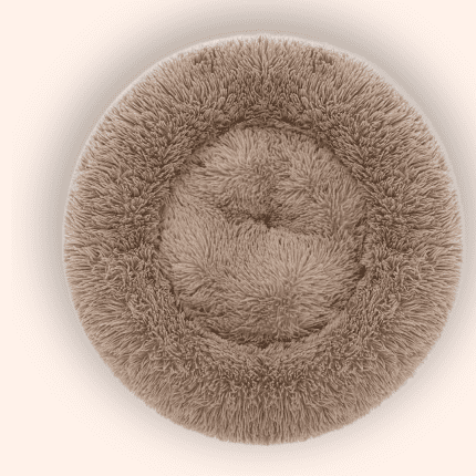 Dog Bed Manufacturer in Kanpur